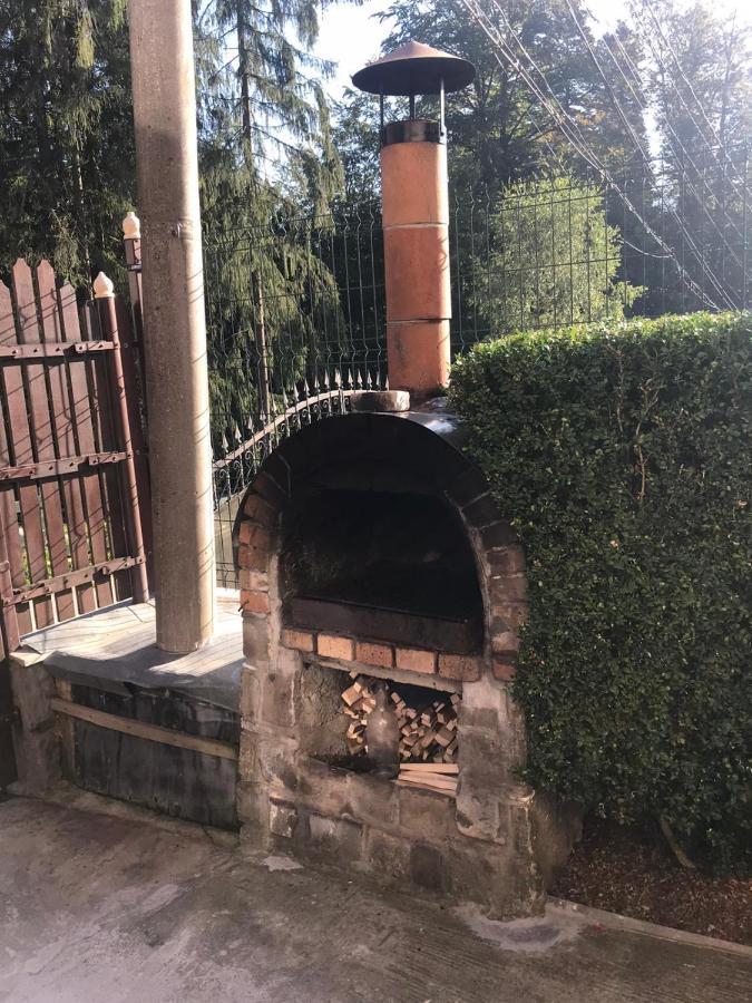 Casa Mikha Appartement Sinaia Buitenkant foto