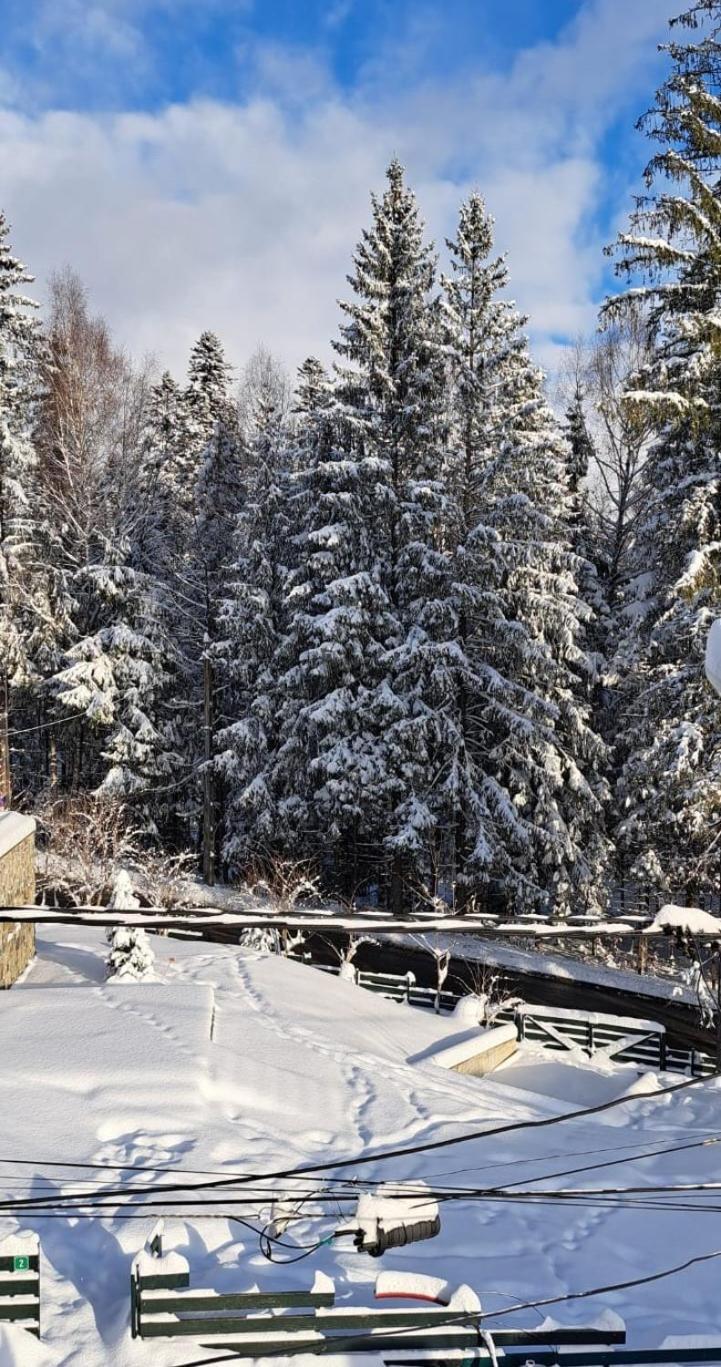 Casa Mikha Appartement Sinaia Buitenkant foto